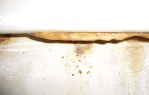 pierre à urine dans les toilettes pierre à urine dans les toilettes